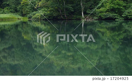 塩の道白池 17204925