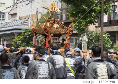 水掛け祭り 水掛け祭り 17204990