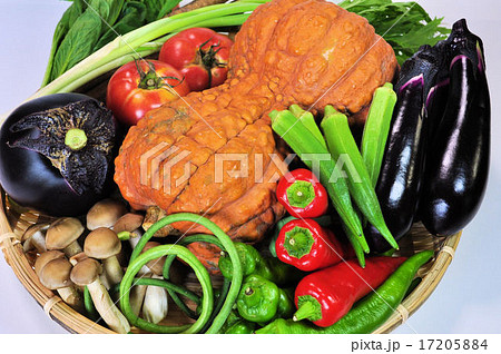 夏の京野菜集合 17205884