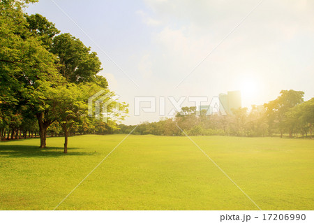 The beautiful city park 17206990