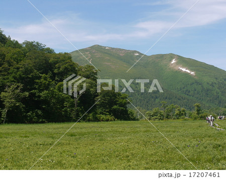 尾瀬ヶ原より至仏山 17207461