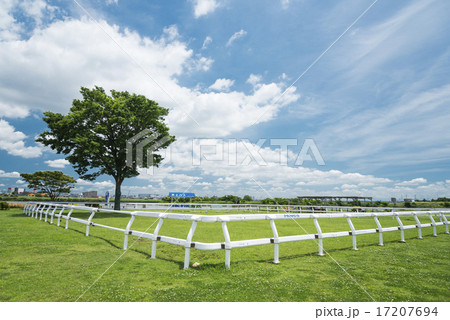 江戸川河川敷の風景 17207694