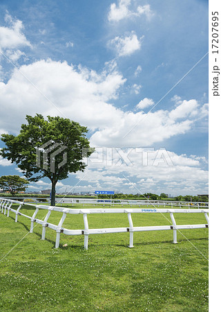 江戸川河川敷の風景 17207695