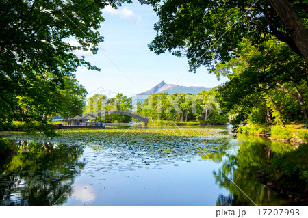 大沼国定公園　駒ケ岳 17207993