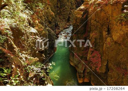 渓谷の秋 渓谷の秋 17208264
