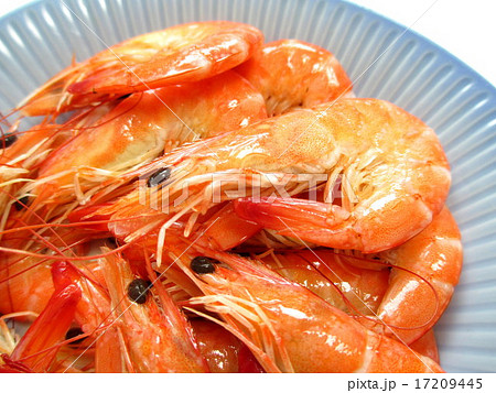 ボイルエビ　有頭エビ 17209445
