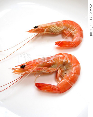 ボイルエビ 有頭エビ ボイルエビ 有頭エビ 17209452