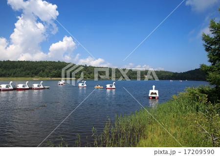 女神湖とアヒル 女神湖とアヒル 17209590