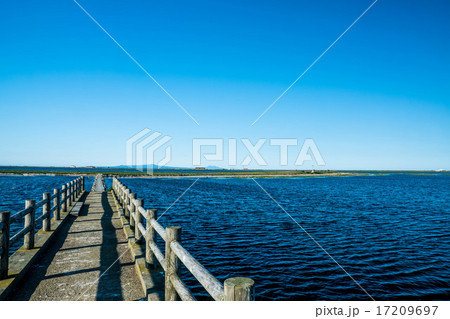 夏の野付半島　（別海町） 17209697