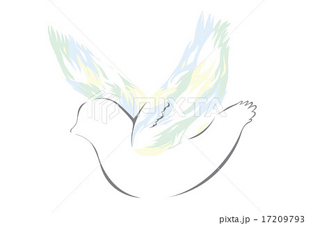 羽ばたく鳥のイラスト素材 17209793 Pixta
