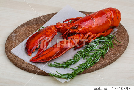 Lobster 17210393