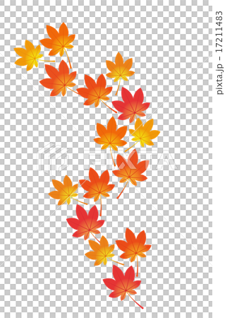 紅葉 17211483