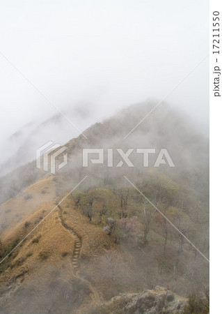 蛭が岳登山道 蛭が岳登山道 17211550