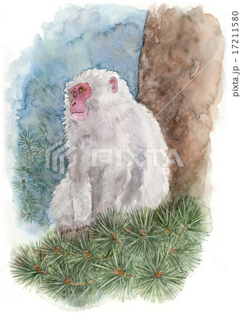 White Monkey Watercolor Painting Stock Illustration