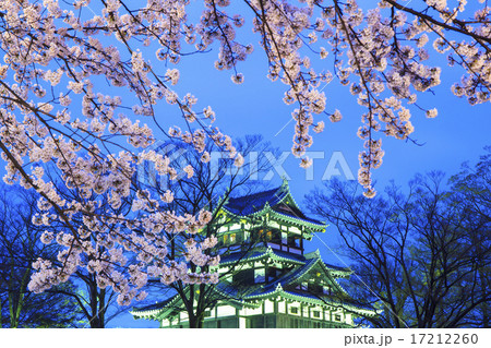 高田城と桜のライトアップ 新潟県上越市 高田城と桜のライトアップ 新潟県上越市 17212260