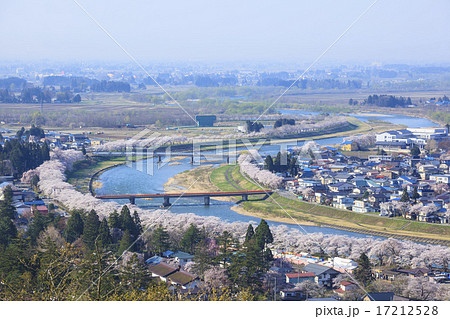 桧木内川堤の桜並木 秋田県仙北市角館町 桧木内川堤の桜並木 秋田県仙北市角館町 17212528