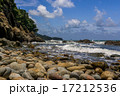 stony coast on Koh Chang Thailand 17212536