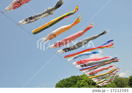 晴天の鯉のぼり 17212593