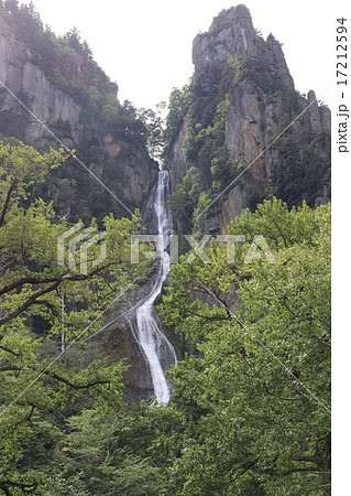 木々の間から銀河の滝。 17212594