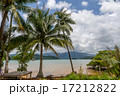 shall coast with palm on Koh Chang Thailand 17212822