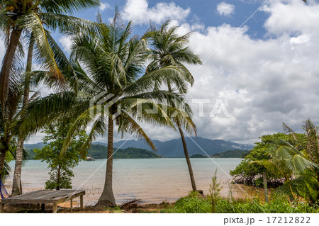 shall coast with palm on Koh Chang Thailand 17212822