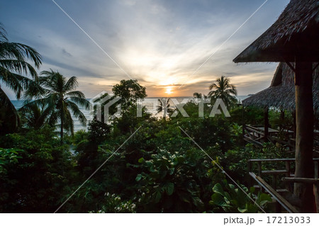 sun set view from between trees 17213033