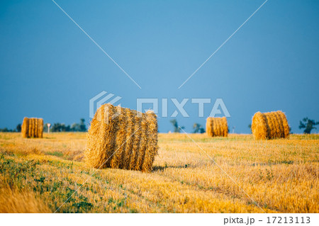 Summer Autumn Rural Landscape Field Meadow With Hay Bales After  17213113