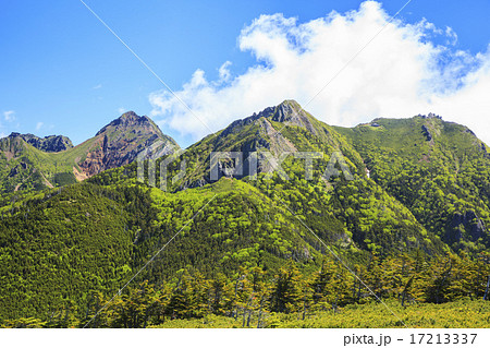 八ヶ岳の編笠山から望む　赤岳・ギボシ・権現岳 17213337