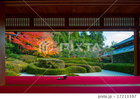 大池寺の紅葉　抹茶と一緒に 17213397