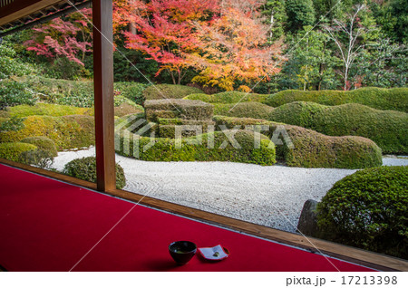 大池寺の紅葉 抹茶と一緒に 大池寺の紅葉 抹茶と一緒に 17213398