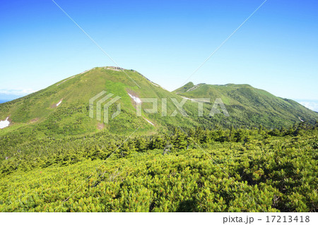 小岳から望む夏の八甲田大岳　青森県青森市 17213418