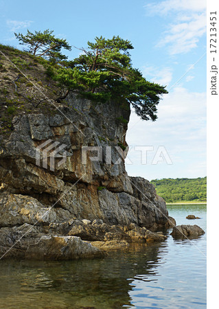 Seascape with rocks and groves of relict pine tree Seascape with rocks and groves of relict pine tree 17213451