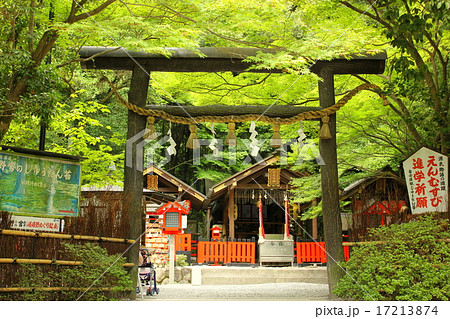 京都嵐山 野々宮神社 黒鳥居の写真素材