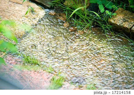水たまり 17214158