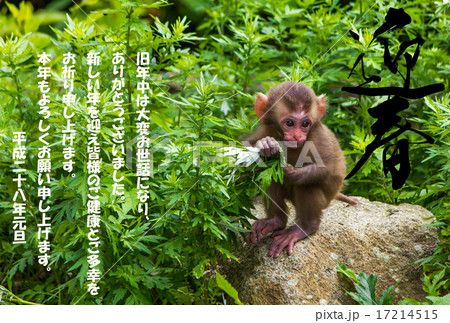 年賀状素材 年賀状素材 17214515