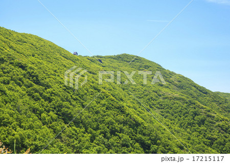 夏の白神岳 青森県深浦町 夏の白神岳 青森県深浦町 17215117