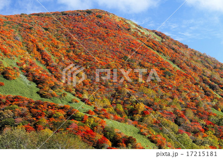那須連山の紅葉 那須連山の紅葉 17215181
