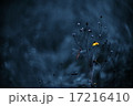 幻想の中 17216410