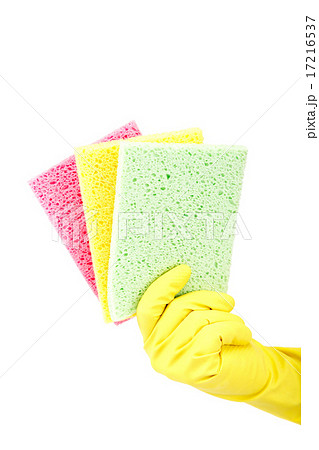 Sponge in hand with a rubber glove. Sponge in hand with a rubber glove. 17216537