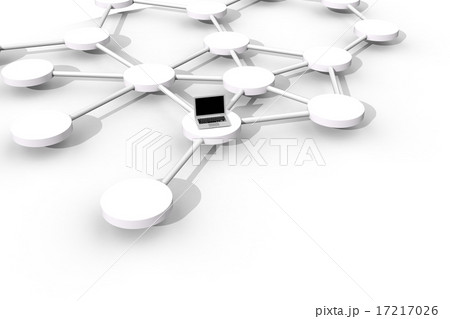 ネットワーク 17217026