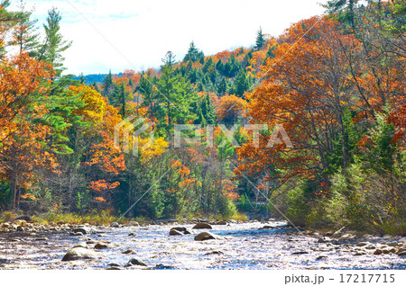 Swift River at autumn 17217715