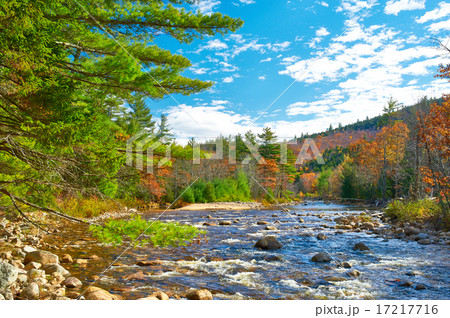 Swift River at autumn 17217716