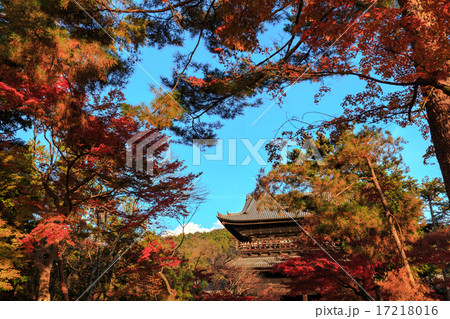 紅葉の奥にそびえる天下龍門 17218016