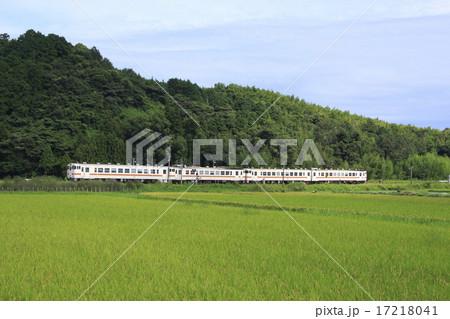 紀勢本線キハ40 17218041