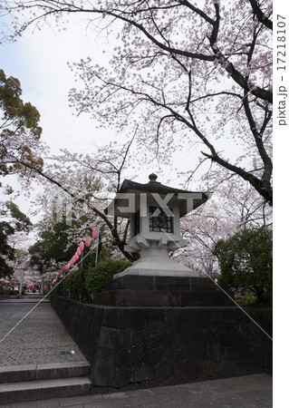 富士山本宮浅間大社 17218107