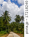 jungle street on Koh Chang Thailand 17218240