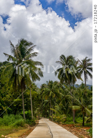 jungle street on Koh Chang Thailand 17218240