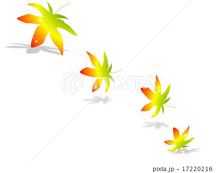 きらめくもみじ きらめくもみじ 17220216