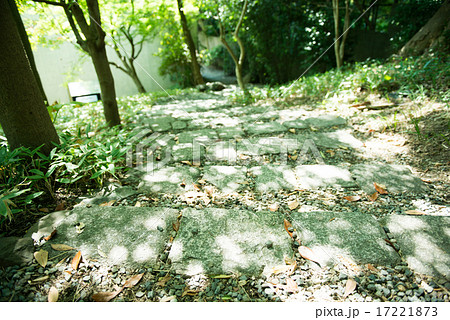 石の階段と木漏れ日 石の階段と木漏れ日 17221873