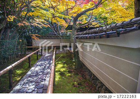 京都大徳寺　高桐院　入口 17222163